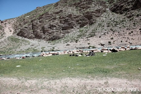 Baharı bir başka, kışı bir başka kokan güzel ilçemizin dağlarında buram buram özgürlük kokuyor. Yüksekovada dört mevsimi bir arada yaşamının güzelliğini siz okuyucularımız için görüntüledik. 