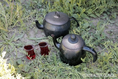 Baharı bir başka, kışı bir başka kokan güzel ilçemizin dağlarında buram buram özgürlük kokuyor. Yüksekovada dört mevsimi bir arada yaşamının güzelliğini siz okuyucularımız için görüntüledik. 