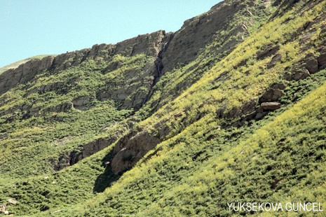 Baharı bir başka, kışı bir başka kokan güzel ilçemizin dağlarında buram buram özgürlük kokuyor. Yüksekovada dört mevsimi bir arada yaşamının güzelliğini siz okuyucularımız için görüntüledik. 