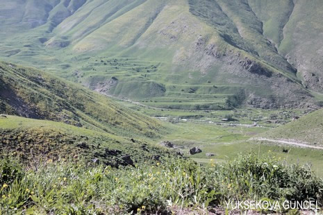 Baharı bir başka, kışı bir başka kokan güzel ilçemizin dağlarında buram buram özgürlük kokuyor. Yüksekovada dört mevsimi bir arada yaşamının güzelliğini siz okuyucularımız için görüntüledik. 