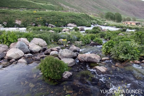 Baharı bir başka, kışı bir başka kokan güzel ilçemizin dağlarında buram buram özgürlük kokuyor. Yüksekovada dört mevsimi bir arada yaşamının güzelliğini siz okuyucularımız için görüntüledik. 