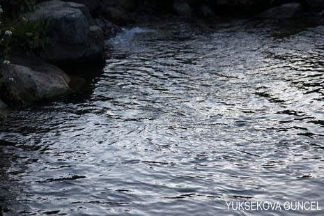 Baharı bir başka, kışı bir başka kokan güzel ilçemizin dağlarında buram buram özgürlük kokuyor. Yüksekovada dört mevsimi bir arada yaşamının güzelliğini siz okuyucularımız için görüntüledik. 