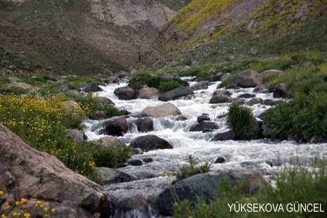 Baharı bir başka, kışı bir başka kokan güzel ilçemizin dağlarında buram buram özgürlük kokuyor. Yüksekovada dört mevsimi bir arada yaşamının güzelliğini siz okuyucularımız için görüntüledik. 