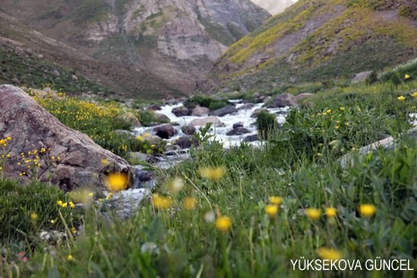 Baharı bir başka, kışı bir başka kokan güzel ilçemizin dağlarında buram buram özgürlük kokuyor. Yüksekovada dört mevsimi bir arada yaşamının güzelliğini siz okuyucularımız için görüntüledik. 