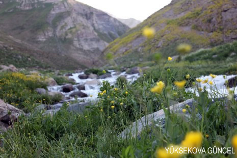 Baharı bir başka, kışı bir başka kokan güzel ilçemizin dağlarında buram buram özgürlük kokuyor. Yüksekovada dört mevsimi bir arada yaşamının güzelliğini siz okuyucularımız için görüntüledik. 