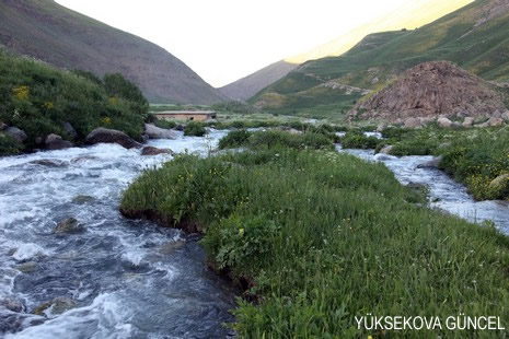 Baharı bir başka, kışı bir başka kokan güzel ilçemizin dağlarında buram buram özgürlük kokuyor. Yüksekovada dört mevsimi bir arada yaşamının güzelliğini siz okuyucularımız için görüntüledik. 