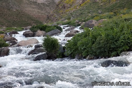 Baharı bir başka, kışı bir başka kokan güzel ilçemizin dağlarında buram buram özgürlük kokuyor. Yüksekovada dört mevsimi bir arada yaşamının güzelliğini siz okuyucularımız için görüntüledik. 