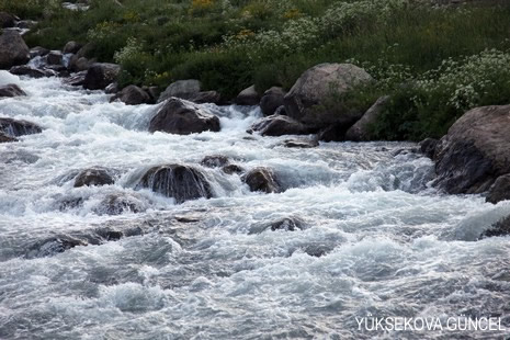 Baharı bir başka, kışı bir başka kokan güzel ilçemizin dağlarında buram buram özgürlük kokuyor. Yüksekovada dört mevsimi bir arada yaşamının güzelliğini siz okuyucularımız için görüntüledik. 