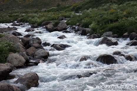 Baharı bir başka, kışı bir başka kokan güzel ilçemizin dağlarında buram buram özgürlük kokuyor. Yüksekovada dört mevsimi bir arada yaşamının güzelliğini siz okuyucularımız için görüntüledik. 