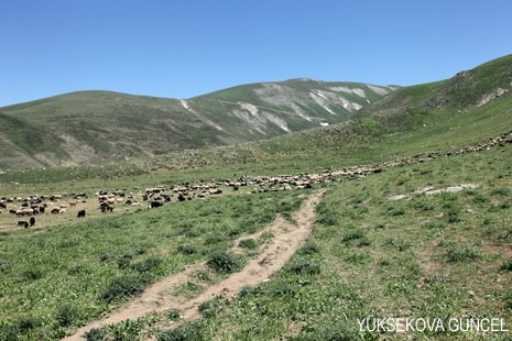 Baharı bir başka, kışı bir başka kokan güzel ilçemizin dağlarında buram buram özgürlük kokuyor. Yüksekovada dört mevsimi bir arada yaşamının güzelliğini siz okuyucularımız için görüntüledik. 