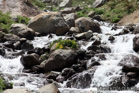 Baharı bir başka, kışı bir başka kokan güzel ilçemizin dağlarında buram buram özgürlük kokuyor. Yüksekovada dört mevsimi bir arada yaşamının güzelliğini siz okuyucularımız için görüntüledik. 