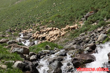 Baharı bir başka, kışı bir başka kokan güzel ilçemizin dağlarında buram buram özgürlük kokuyor. Yüksekovada dört mevsimi bir arada yaşamının güzelliğini siz okuyucularımız için görüntüledik. 