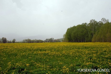 Baharı bir başka, kışı bir başka kokan güzel ilçemizin dağlarında buram buram özgürlük kokuyor. Yüksekovada dört mevsimi bir arada yaşamının güzelliğini siz okuyucularımız için görüntüledik. 