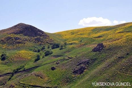 Baharı bir başka, kışı bir başka kokan güzel ilçemizin dağlarında buram buram özgürlük kokuyor. Yüksekovada dört mevsimi bir arada yaşamının güzelliğini siz okuyucularımız için görüntüledik. 