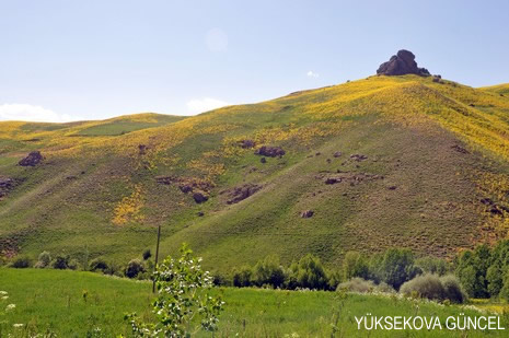 Baharı bir başka, kışı bir başka kokan güzel ilçemizin dağlarında buram buram özgürlük kokuyor. Yüksekovada dört mevsimi bir arada yaşamının güzelliğini siz okuyucularımız için görüntüledik. 