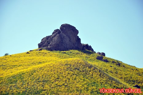 Baharı bir başka, kışı bir başka kokan güzel ilçemizin dağlarında buram buram özgürlük kokuyor. Yüksekovada dört mevsimi bir arada yaşamının güzelliğini siz okuyucularımız için görüntüledik. 