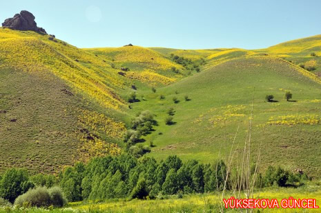 Baharı bir başka, kışı bir başka kokan güzel ilçemizin dağlarında buram buram özgürlük kokuyor. Yüksekovada dört mevsimi bir arada yaşamının güzelliğini siz okuyucularımız için görüntüledik. 