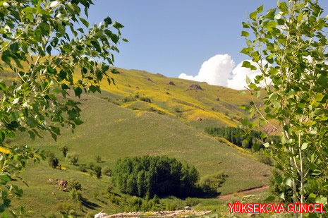 Baharı bir başka, kışı bir başka kokan güzel ilçemizin dağlarında buram buram özgürlük kokuyor. Yüksekovada dört mevsimi bir arada yaşamının güzelliğini siz okuyucularımız için görüntüledik. 