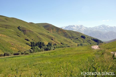Baharı bir başka, kışı bir başka kokan güzel ilçemizin dağlarında buram buram özgürlük kokuyor. Yüksekovada dört mevsimi bir arada yaşamının güzelliğini siz okuyucularımız için görüntüledik. 