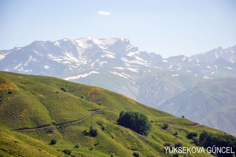 Baharı bir başka, kışı bir başka kokan güzel ilçemizin dağlarında buram buram özgürlük kokuyor. Yüksekovada dört mevsimi bir arada yaşamının güzelliğini siz okuyucularımız için görüntüledik. 