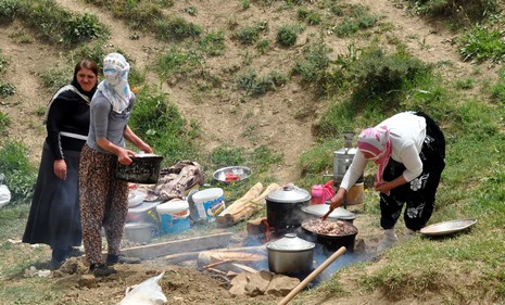 Hakkari'nin Yüksekova ilçesinde Mor dağı eteklerinde Koyun Kırpma Şenliği düzenlendi. Fotoğraflar: Yaşar KAPLAN