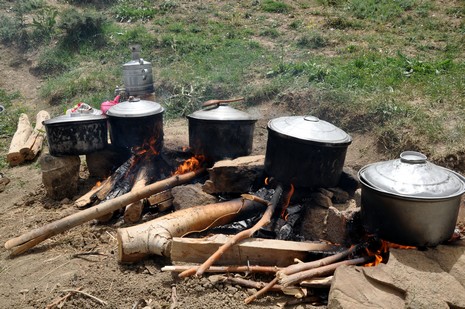 Hakkari'nin Yüksekova ilçesinde Mor dağı eteklerinde Koyun Kırpma Şenliği düzenlendi. Fotoğraflar: Yaşar KAPLAN