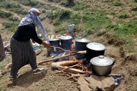 Hakkari'nin Yüksekova ilçesinde Mor dağı eteklerinde Koyun Kırpma Şenliği düzenlendi. Fotoğraflar: Yaşar KAPLAN