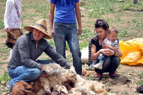 Hakkari'nin Yüksekova ilçesinde Mor dağı eteklerinde Koyun Kırpma Şenliği düzenlendi. Fotoğraflar: Yaşar KAPLAN