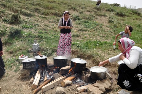 Hakkari'nin Yüksekova ilçesinde Mor dağı eteklerinde Koyun Kırpma Şenliği düzenlendi. Fotoğraflar: Yaşar KAPLAN
