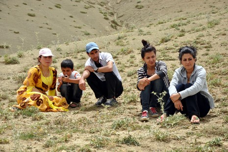 Hakkari'nin Yüksekova ilçesinde Mor dağı eteklerinde Koyun Kırpma Şenliği düzenlendi. Fotoğraflar: Yaşar KAPLAN