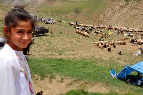 Hakkari'nin Yüksekova ilçesinde Mor dağı eteklerinde Koyun Kırpma Şenliği düzenlendi. Fotoğraflar: Yaşar KAPLAN