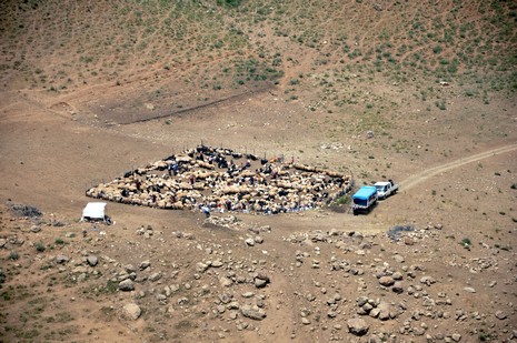 Hakkari'nin Yüksekova ilçesinde Mor dağı eteklerinde Koyun Kırpma Şenliği düzenlendi. Fotoğraflar: Yaşar KAPLAN