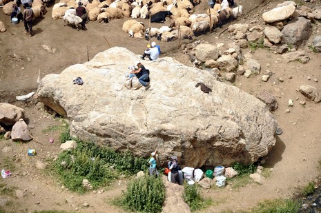 Hakkari'nin Yüksekova ilçesinde Mor dağı eteklerinde Koyun Kırpma Şenliği düzenlendi. Fotoğraflar: Yaşar KAPLAN