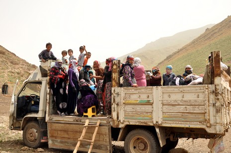 Hakkari'nin Yüksekova ilçesinde Mor dağı eteklerinde Koyun Kırpma Şenliği düzenlendi. Fotoğraflar: Yaşar KAPLAN