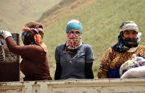 Hakkari'nin Yüksekova ilçesinde Mor dağı eteklerinde Koyun Kırpma Şenliği düzenlendi. Fotoğraflar: Yaşar KAPLAN