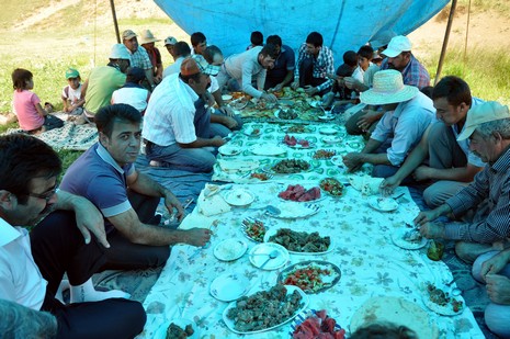Hakkari'nin Yüksekova ilçesinde Mor dağı eteklerinde Koyun Kırpma Şenliği düzenlendi. Fotoğraflar: Yaşar KAPLAN