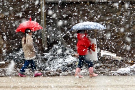 Hakkari- Yüksekova ve Şemdinli'de Lapa Lapa Yağan Kardan Fotolar...