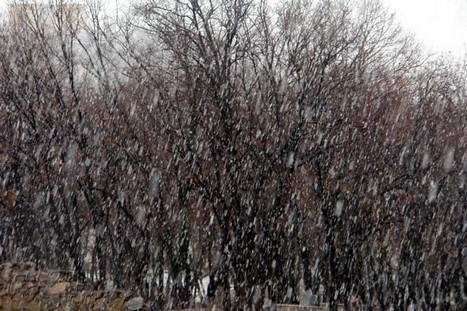 Hakkari- Yüksekova ve Şemdinli'de Lapa Lapa Yağan Kardan Fotolar...