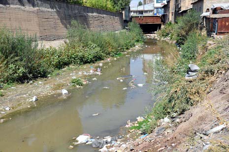 Hakkarinin Yüksekova ilçesinde çarşı merkezi içinde giden dere yatağı insan sağlığını tehdit ediyor. Mikrop yuvası haline gelen dere yatağı vatandaşların tepki gösteriyor.