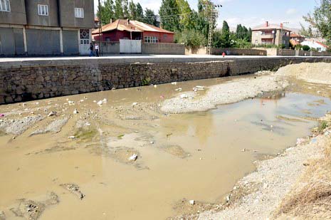 Hakkarinin Yüksekova ilçesinde çarşı merkezi içinde giden dere yatağı insan sağlığını tehdit ediyor. Mikrop yuvası haline gelen dere yatağı vatandaşların tepki gösteriyor.