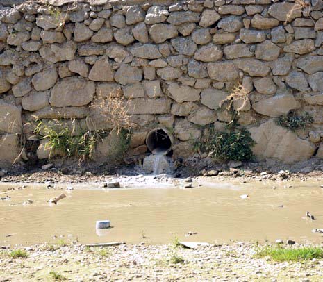 Hakkarinin Yüksekova ilçesinde çarşı merkezi içinde giden dere yatağı insan sağlığını tehdit ediyor. Mikrop yuvası haline gelen dere yatağı vatandaşların tepki gösteriyor.