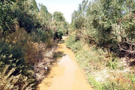 Hakkarinin Yüksekova ilçesinde çarşı merkezi içinde giden dere yatağı insan sağlığını tehdit ediyor. Mikrop yuvası haline gelen dere yatağı vatandaşların tepki gösteriyor.