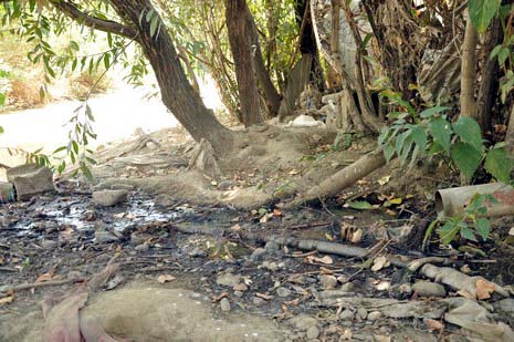 Hakkarinin Yüksekova ilçesinde çarşı merkezi içinde giden dere yatağı insan sağlığını tehdit ediyor. Mikrop yuvası haline gelen dere yatağı vatandaşların tepki gösteriyor.