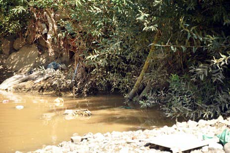 Hakkarinin Yüksekova ilçesinde çarşı merkezi içinde giden dere yatağı insan sağlığını tehdit ediyor. Mikrop yuvası haline gelen dere yatağı vatandaşların tepki gösteriyor.