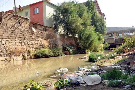 Hakkarinin Yüksekova ilçesinde çarşı merkezi içinde giden dere yatağı insan sağlığını tehdit ediyor. Mikrop yuvası haline gelen dere yatağı vatandaşların tepki gösteriyor.