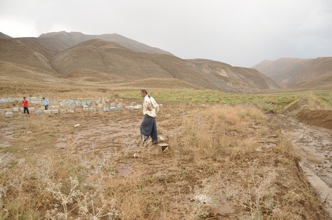 Hakkari'nin Yüksekova ilçesinde aniden bastıran yağmur sele dönüştü.Sele kapılan 150 arı kovanın içinde bulunan arılar telef oldu. 