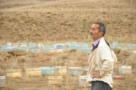 Hakkari'nin Yüksekova ilçesinde aniden bastıran yağmur sele dönüştü.Sele kapılan 150 arı kovanın içinde bulunan arılar telef oldu. 
