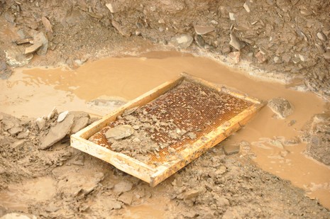Hakkari'nin Yüksekova ilçesinde aniden bastıran yağmur sele dönüştü.Sele kapılan 150 arı kovanın içinde bulunan arılar telef oldu. 