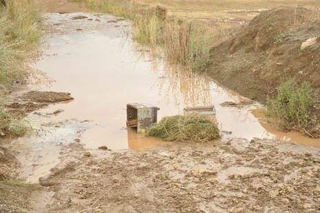 Hakkari'nin Yüksekova ilçesinde aniden bastıran yağmur sele dönüştü.Sele kapılan 150 arı kovanın içinde bulunan arılar telef oldu. 