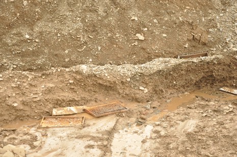Hakkari'nin Yüksekova ilçesinde aniden bastıran yağmur sele dönüştü.Sele kapılan 150 arı kovanın içinde bulunan arılar telef oldu. 